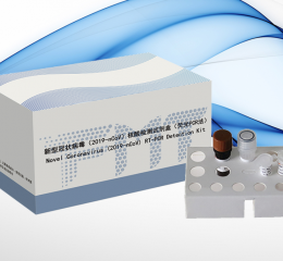 Novel Coronavirus (2019-nCoV) RT-PCR Detection Kit
