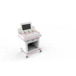 Portable Pelvic Floor Rehabilitation Device