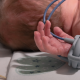 Infant Radiant Warmer— Protect Infant Health