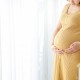 Pregnant for ten months : Let’s see the whole process of fetal development