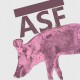 Heal Force African Swine Fever (ASF) Detection Solution